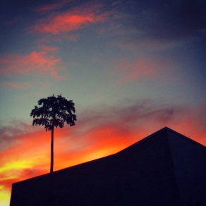 Sunset in Alajuela