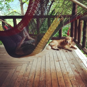 Hammock time with Ginger at Rancho Margot