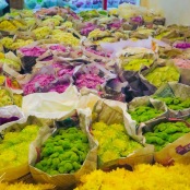 Flower Market, Bangkok, Thailand